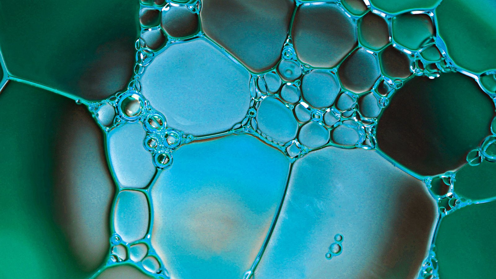 Burbujas formando una red