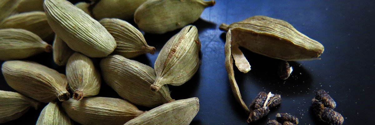 Read more about the article Cardamomo