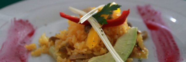 Read more about the article Guía de Técnicas Culinarias en Puyo